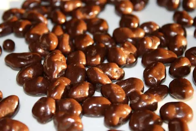 raisins-candy bar with nuts
