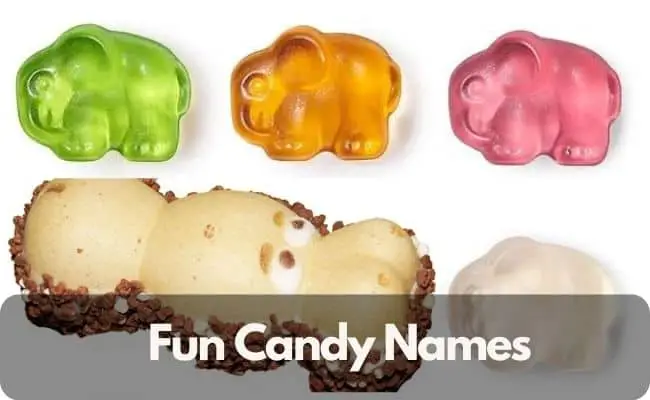 Fun Candy Names